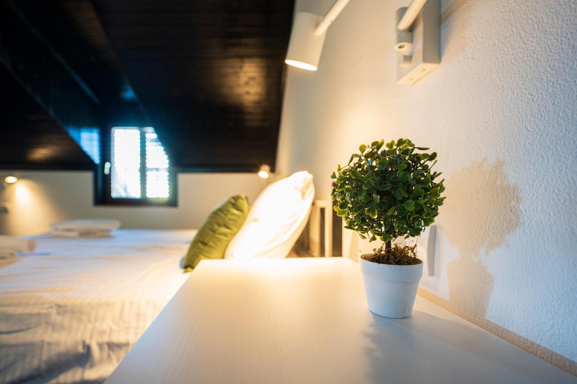 Cozy Nook B&B - Free Private Parking Νόβι Σαντ Εξωτερικό φωτογραφία